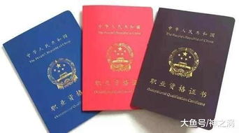 电子商务专业能考那些证