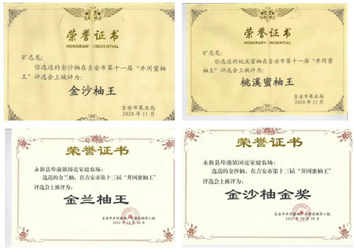 江西本科电子商务专业考公