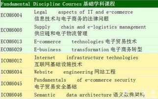 电子商务专业选的人多吗