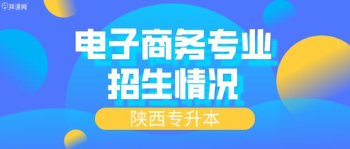 电子商务专生本的专业